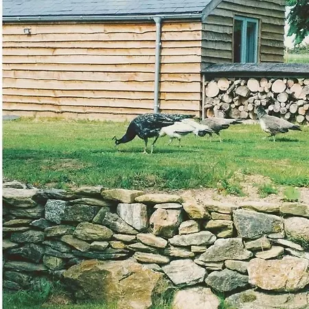 Bream Barn - Sea View, Woodburner, Easy Walk To The Beach, Parking, Full Kitchen Falmouth Exterior photo