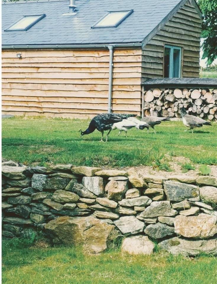 Bream Barn - Sea View, Woodburner, Easy Walk To The Beach, Parking, Full Kitchen