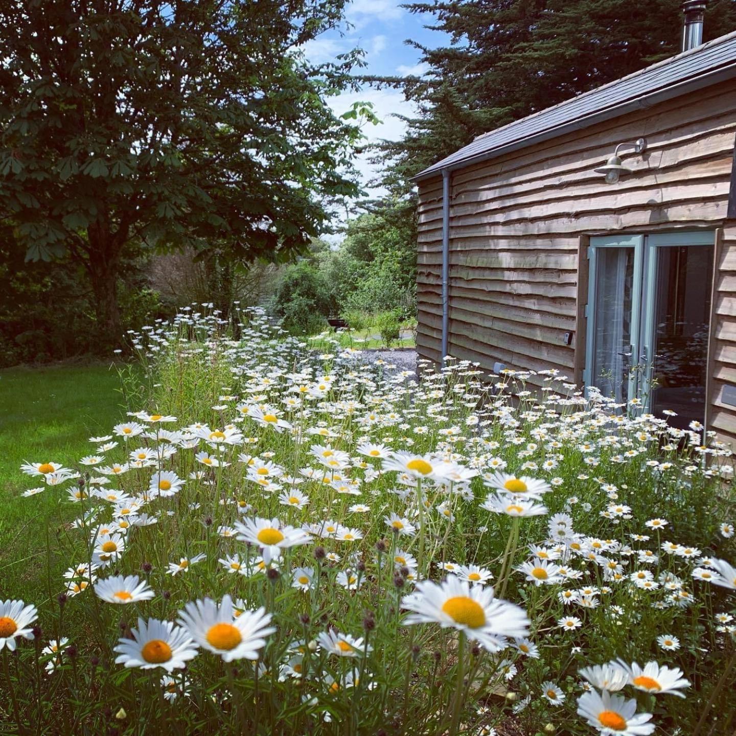 Holiday home Bream Barn - Sea View, Woodburner, Easy Walk To The Beach, Parking, Full Kitchen